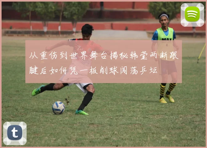 从重伤到世界舞台揭秘韩莹两断跟腱后如何凭一板削球闯荡乒坛
