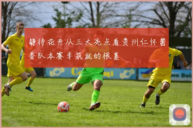 静待花开从三大亮点看贵州仁怀酱香队本赛季筑就的根基