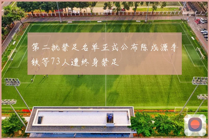 第二批禁足名单正式公布陈戌源李铁等73人遭终身禁足