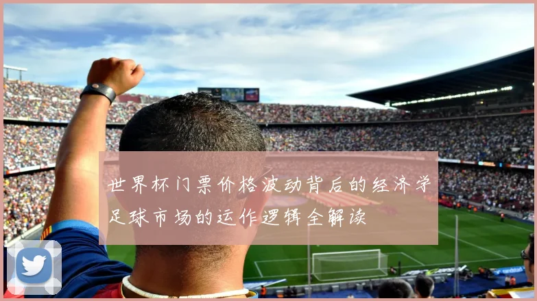 世界杯门票价格波动背后的经济学足球市场的运作逻辑全解读