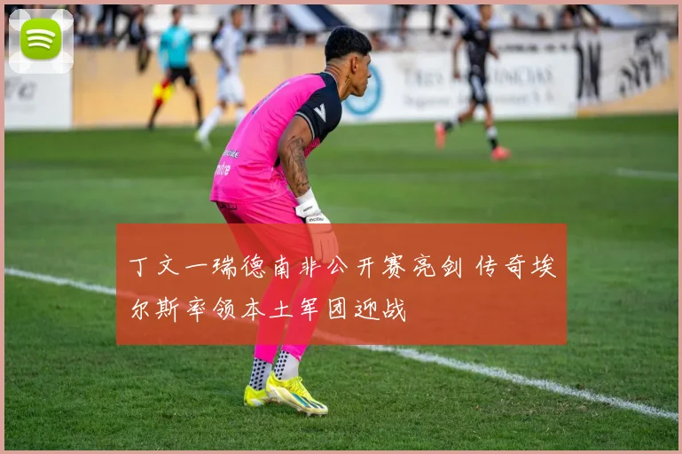 丁文一瑞德南非公开赛亮剑 传奇埃尔斯率领本土军团迎战